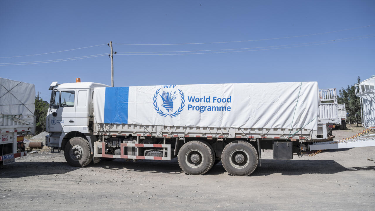 World fond programme 