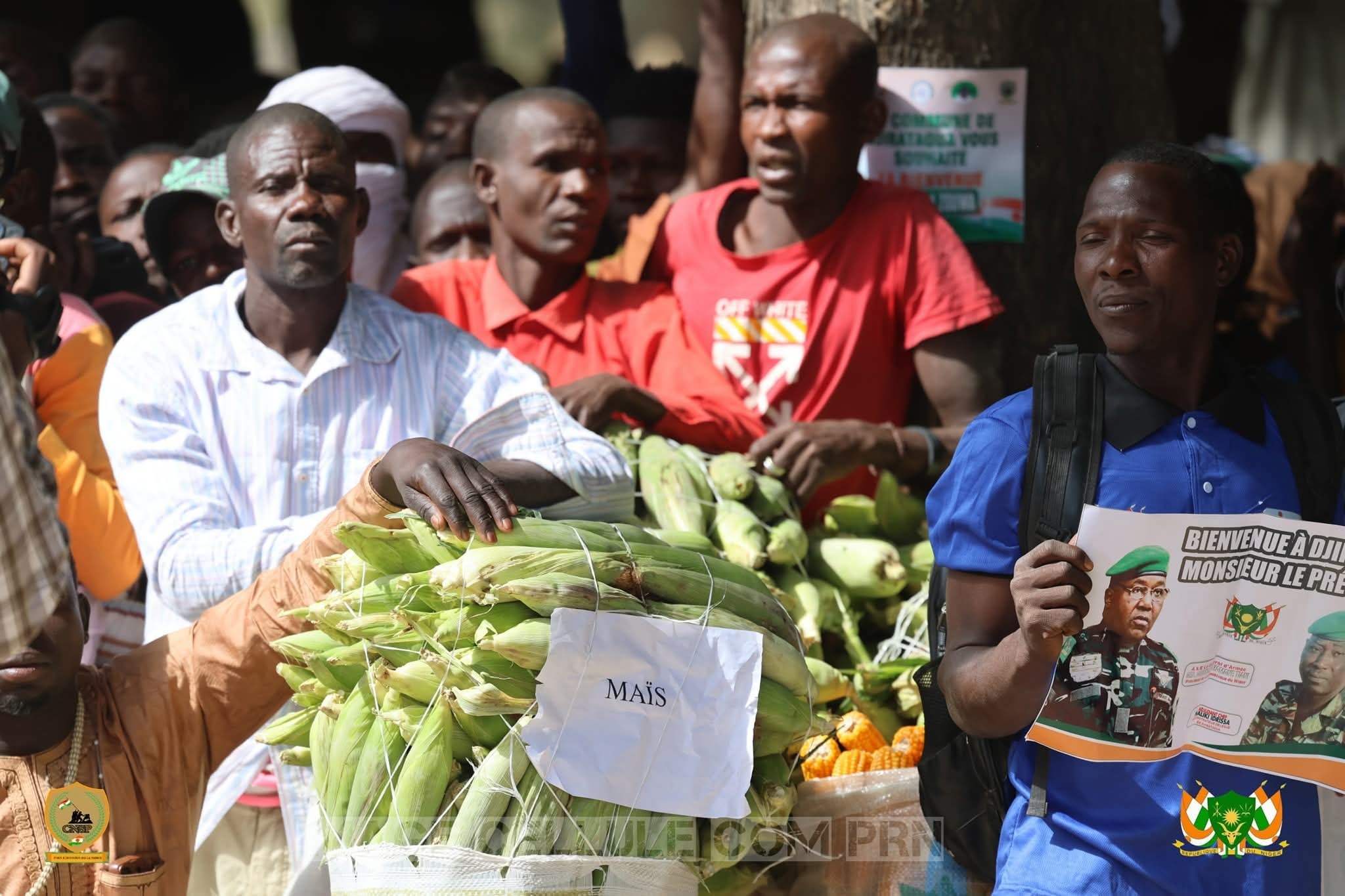 Les producteurs du secteur irrigué du niger 
