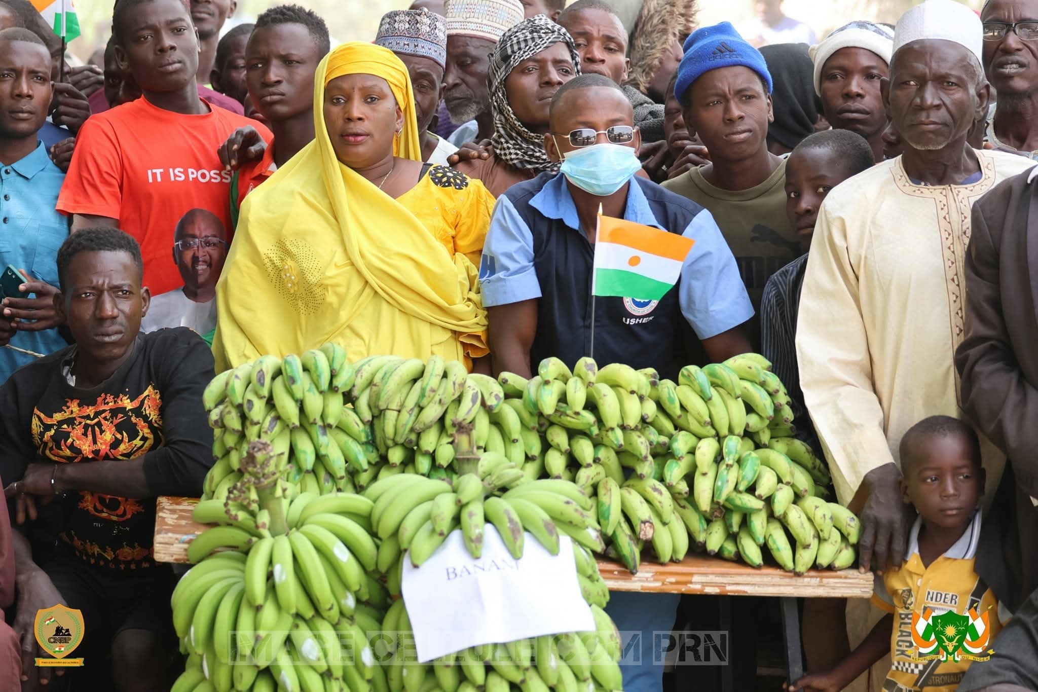 Les producteurs du secteur irrigué du niger 